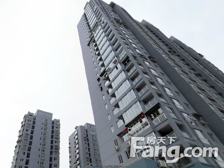 &#20061;&#28216;&#65288;&#78;&#73;&#78;&#69;&#71;&#65;&#77;&#69;&#65289;&#20013;&#22269;&#22823;&#38470;&#25163;&#26426;&#23089;&#20048;&#31532;&#19968;&#38376;&#25143;&#32;&#45;&#32;&#23448;&#26041;&#32593;&#31449;